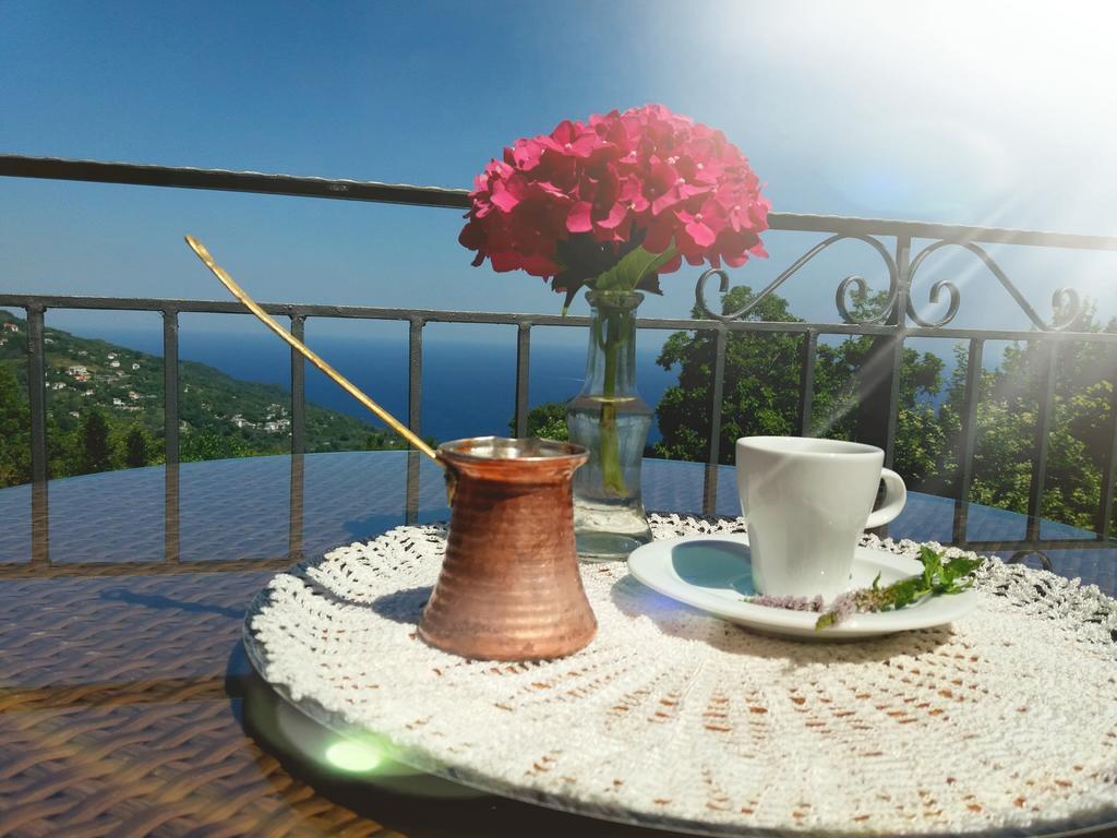 Aroma Piliou - Άρωμα Πηλίου Hotel Mourésion Kültér fotó